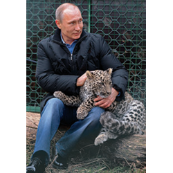 Магнит фото Путин с леопардом