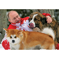 Магнит фото Путин с собаками